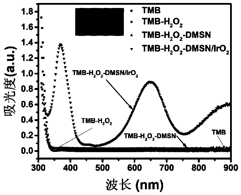 Preparation and application of a dendritic mesoporous silica/iridium dioxide composite nanometer enzyme