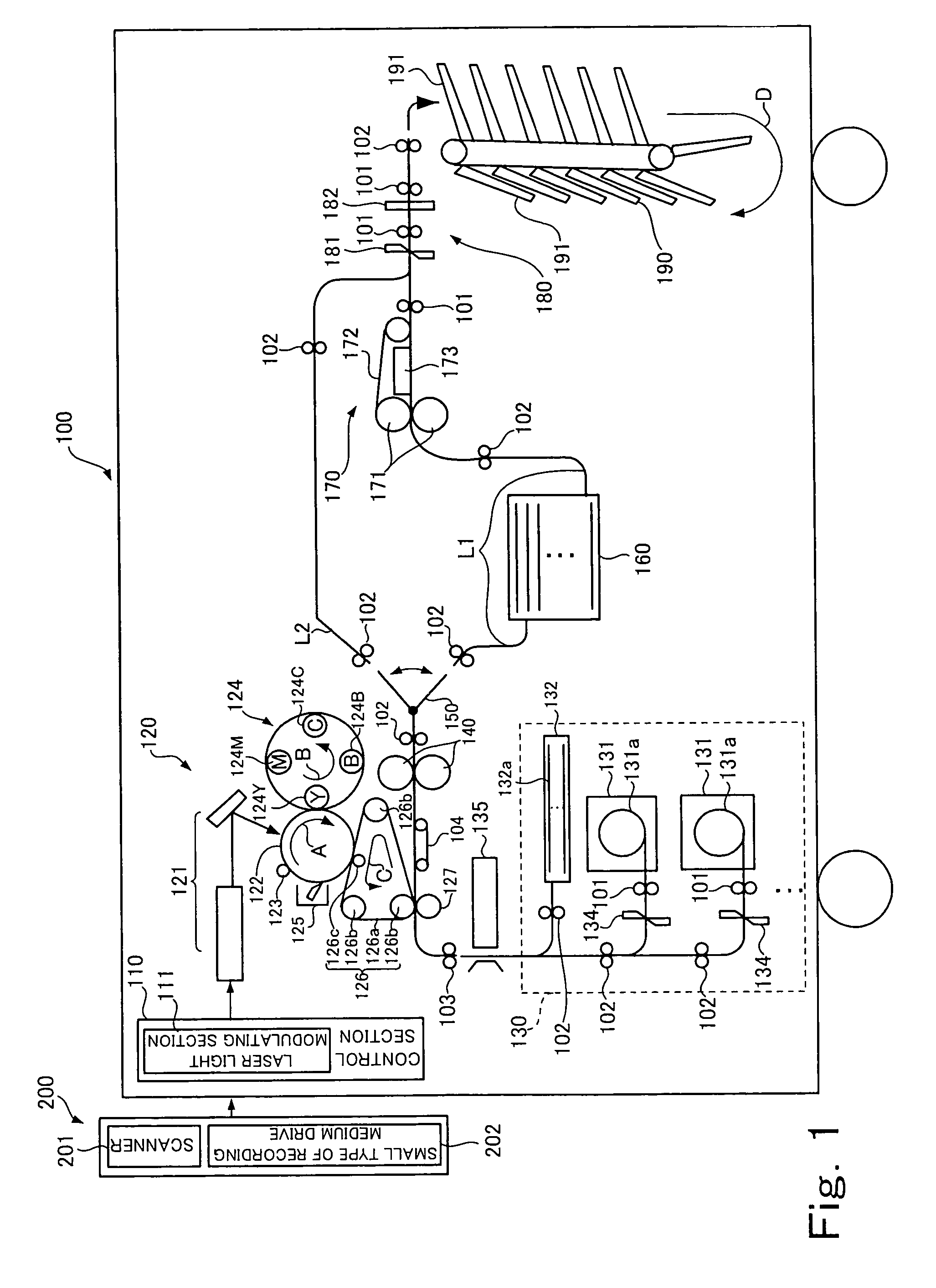 Printer and image forming method providing selectable path for recording medium