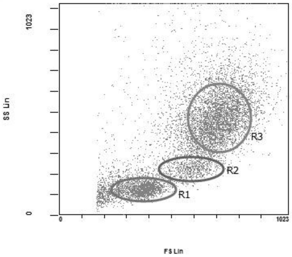 A kind of preparation method of fish single cell suspension