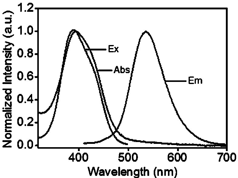 Fluorescent carbon dot for nuclear staining, and application and application method of same to nuclear imaging