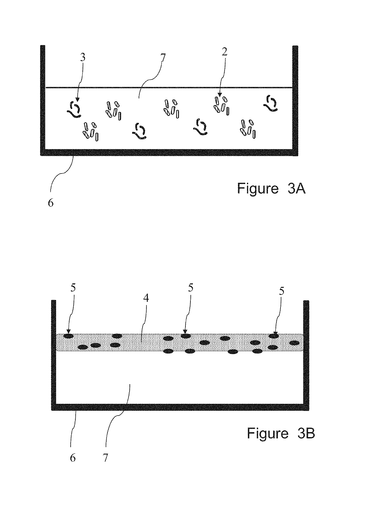 Process for preparing a dyed biopolymer and products thereof