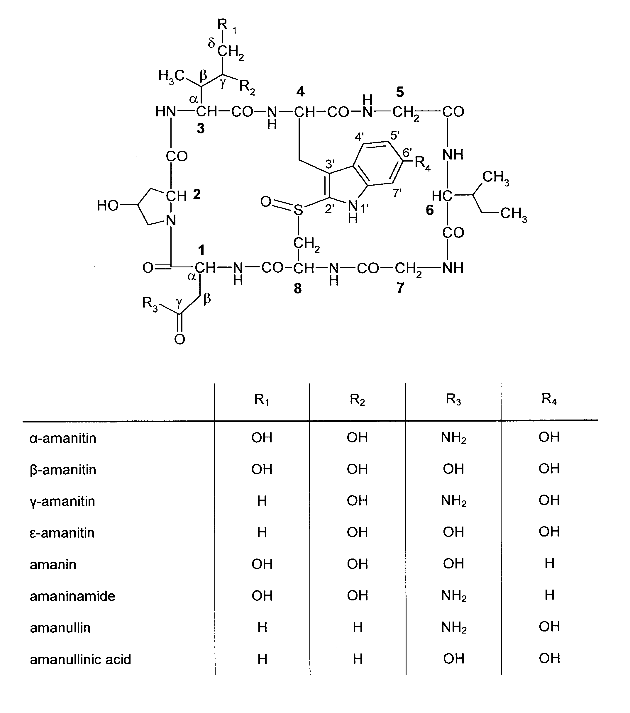 Amatoxin derivatives