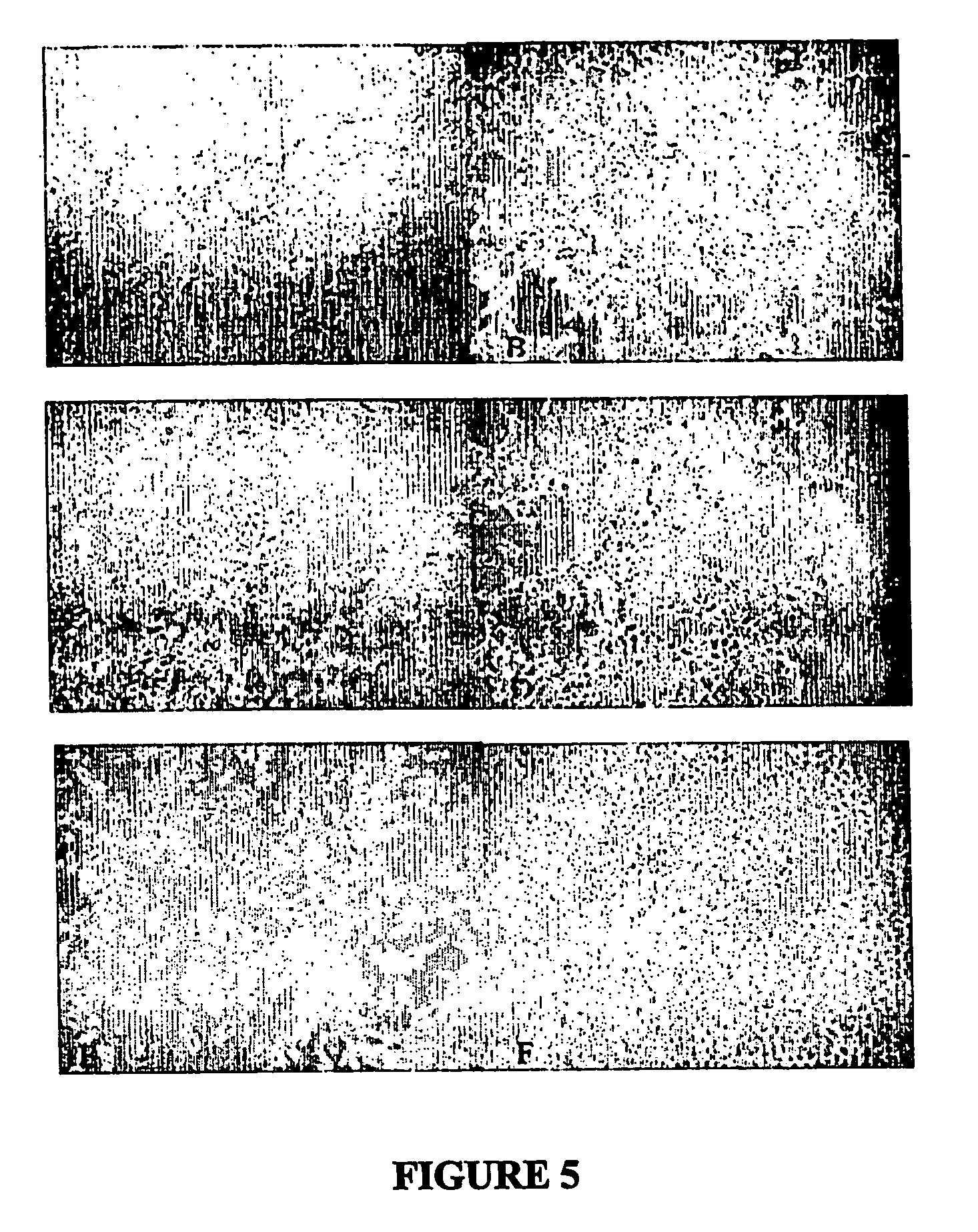 Thermosensitive polymers for therapeutic use and methods of preparation