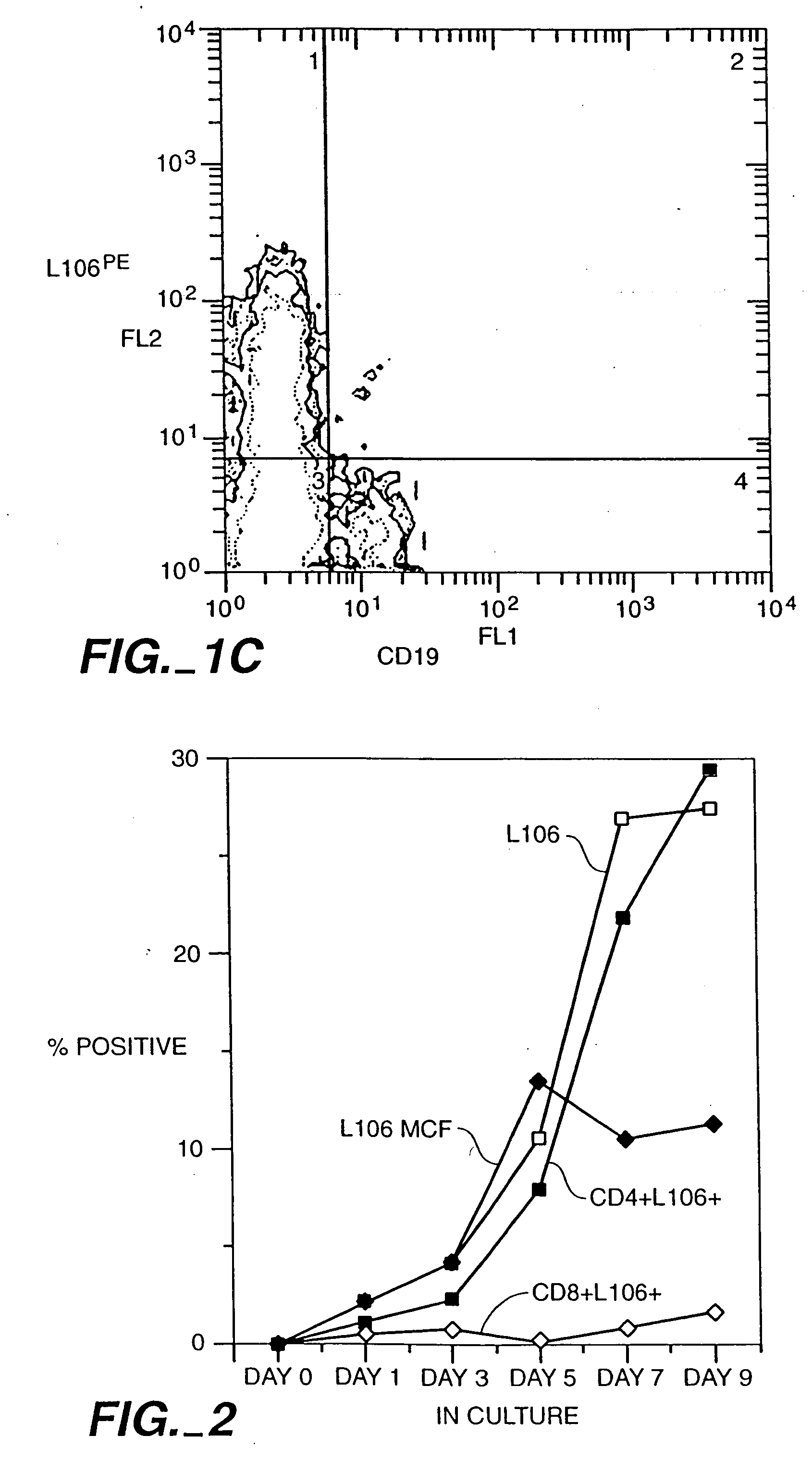 Receptor on the surface of activated T-cells: ACT-4