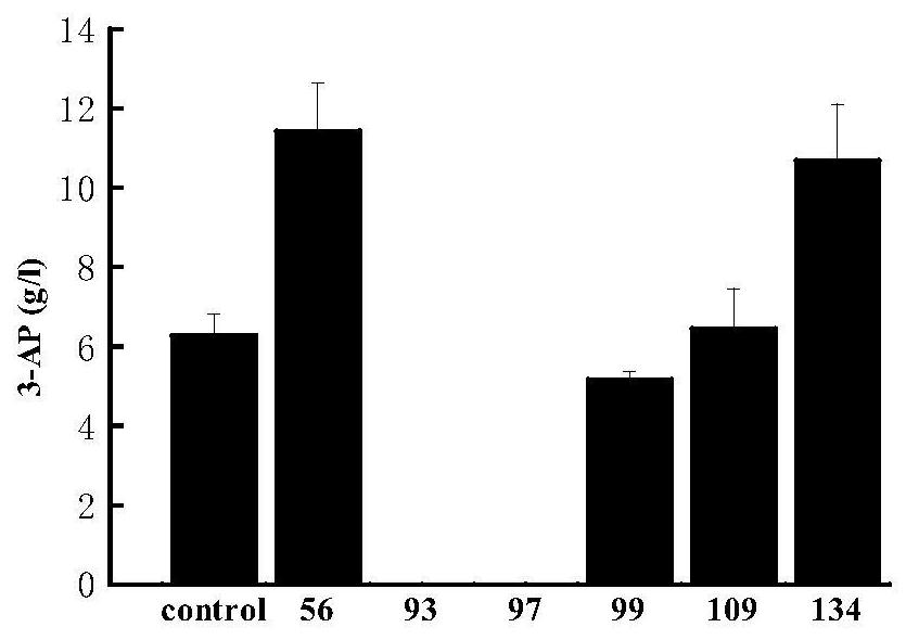 A kind of pand mutant gene, genetic engineering and its application in catalytic production of β-alanine