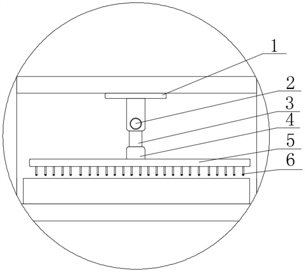 Mycelium powder and production process thereof