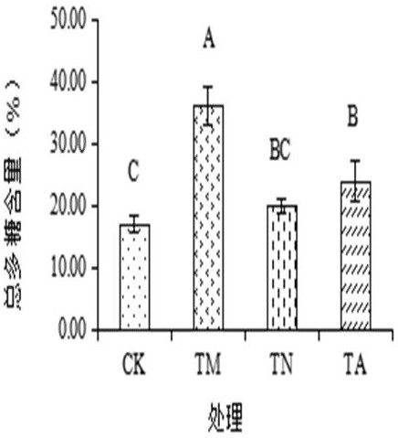 Application of mixed nitrogen in promoting growth of rhizoma bletillae and improving photosynthetic efficiency and polysaccharide accumulation