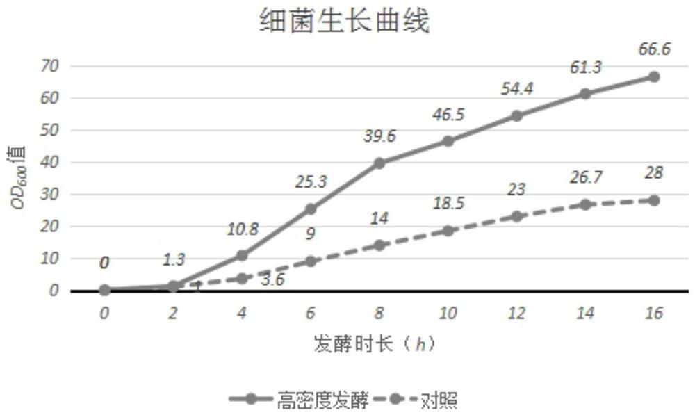 Genetically engineered Escherichia coli high-density fermentation medium and its fermentation process