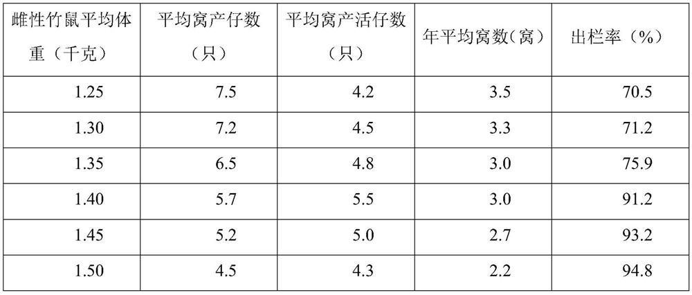 Cultivation method of three-line commercial bamboo rat of Chinese bamboo rat