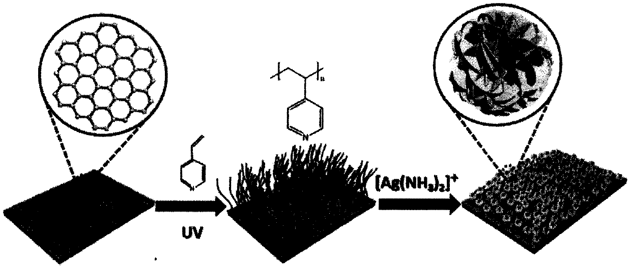 Preparation method of graphene oxide membrane/poly(4-vinylpyridine)/three-dimensional flower-shaped micro-silver composite material