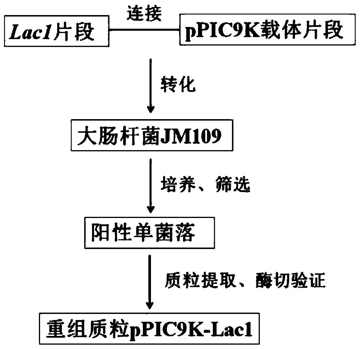 Preparation method and application of recombinant fungal laccase