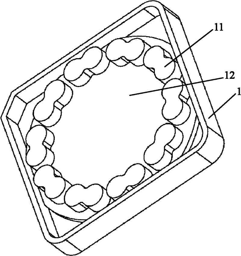 High-flux dry biochemical chip