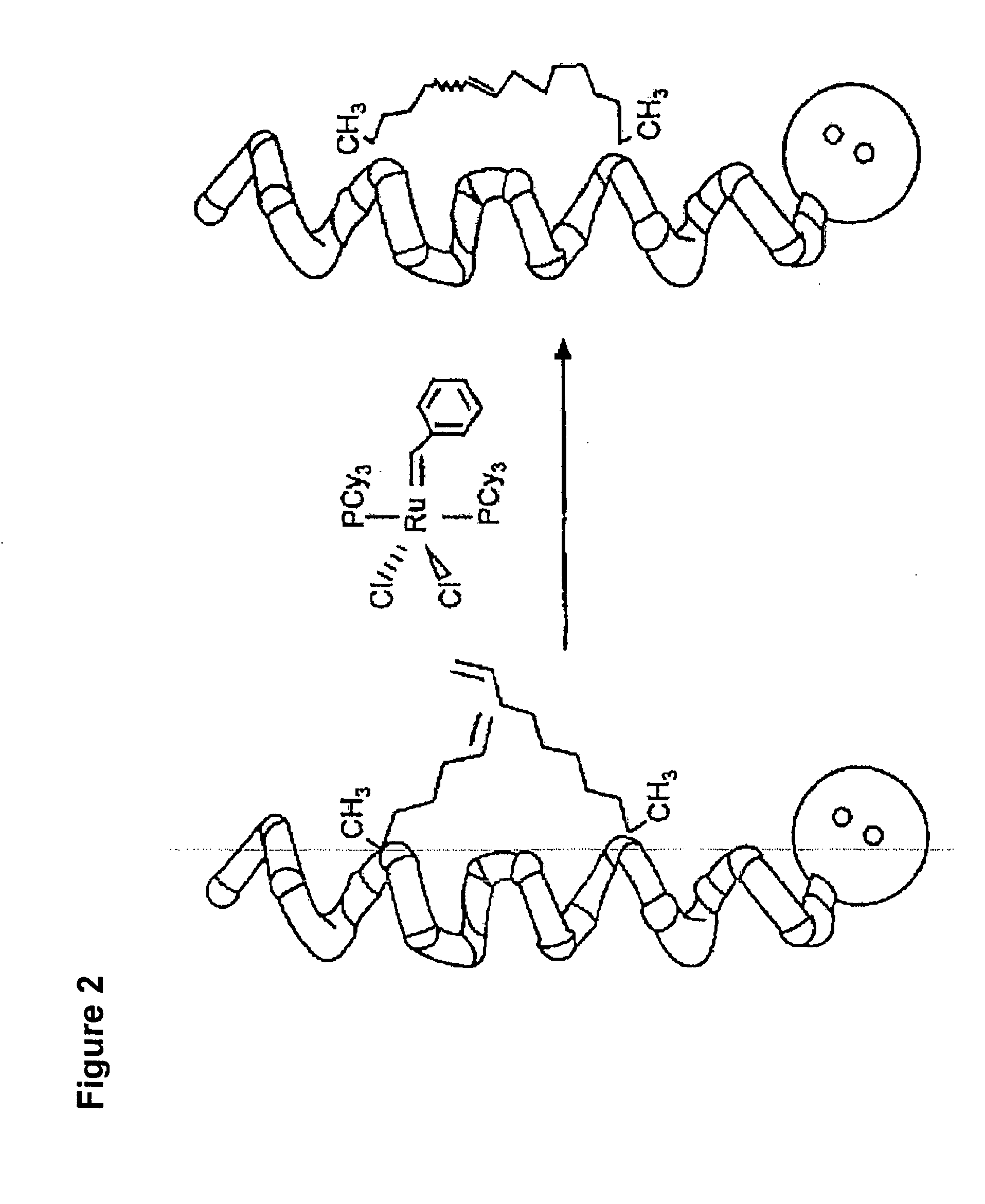 Ligation of stapled polypeptides