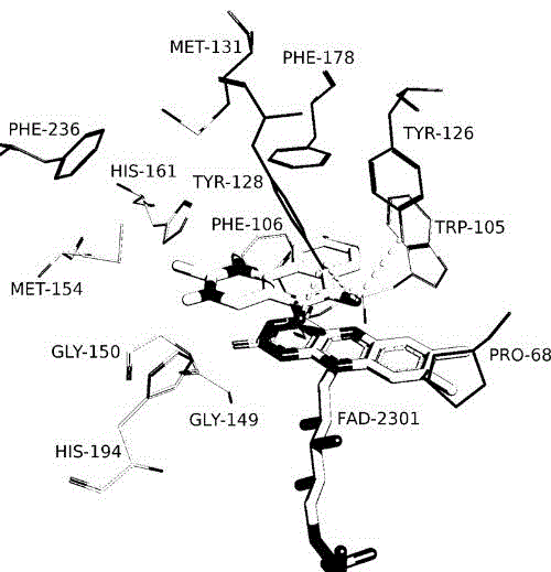 Beta-lapachone derivative, and preparation method and medicinal application thereof