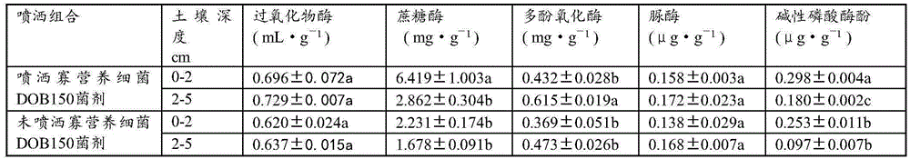 Desert oligotrophic bacterium DOB150 and application thereof to sand stabilization