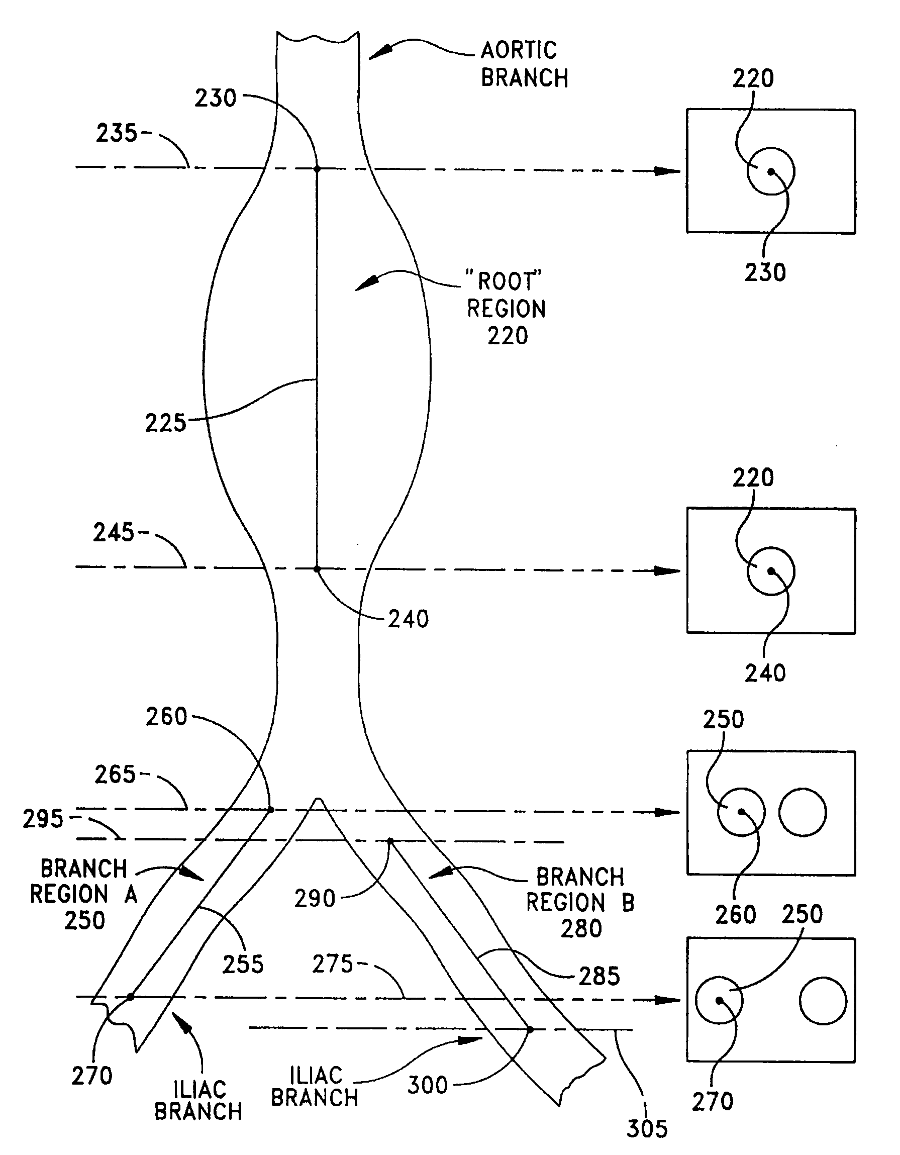 Anatomical visualization and measurement system