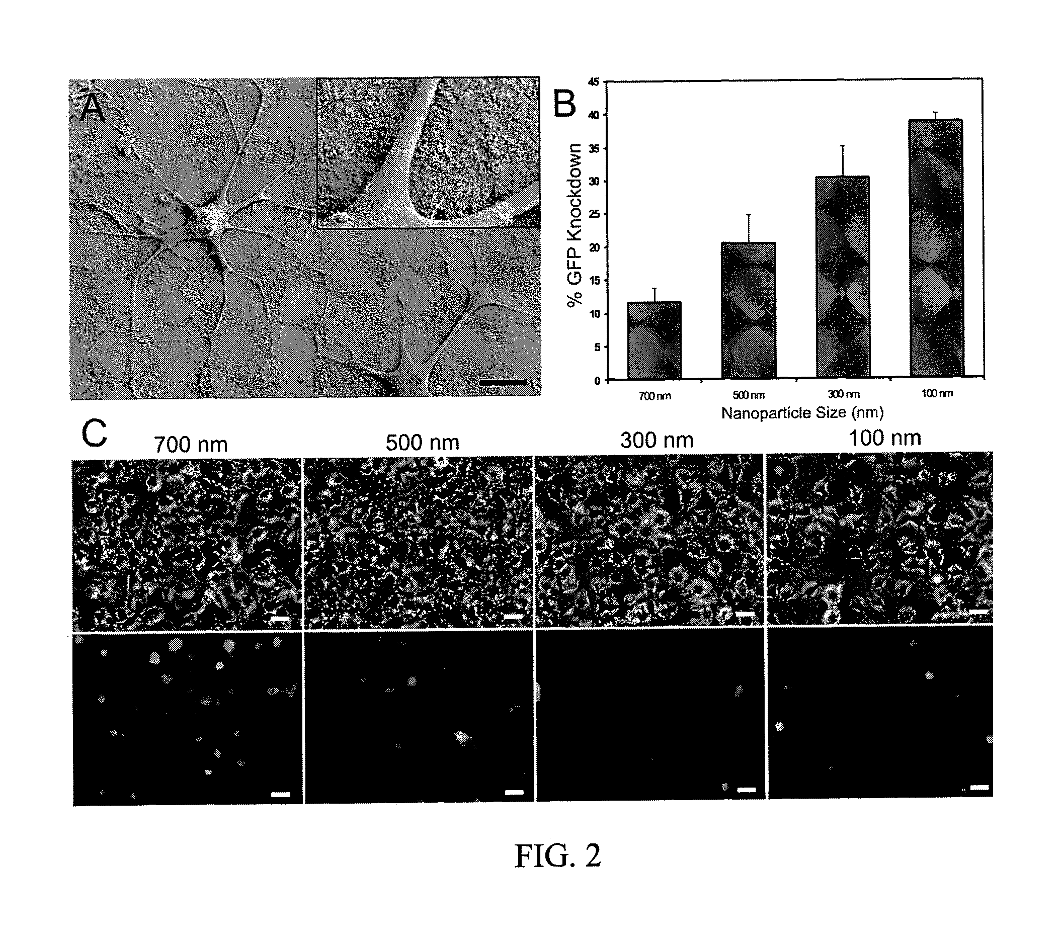 Nanotopography-mediated reverse uptake platform for nucleic acid delivery and applications thereof