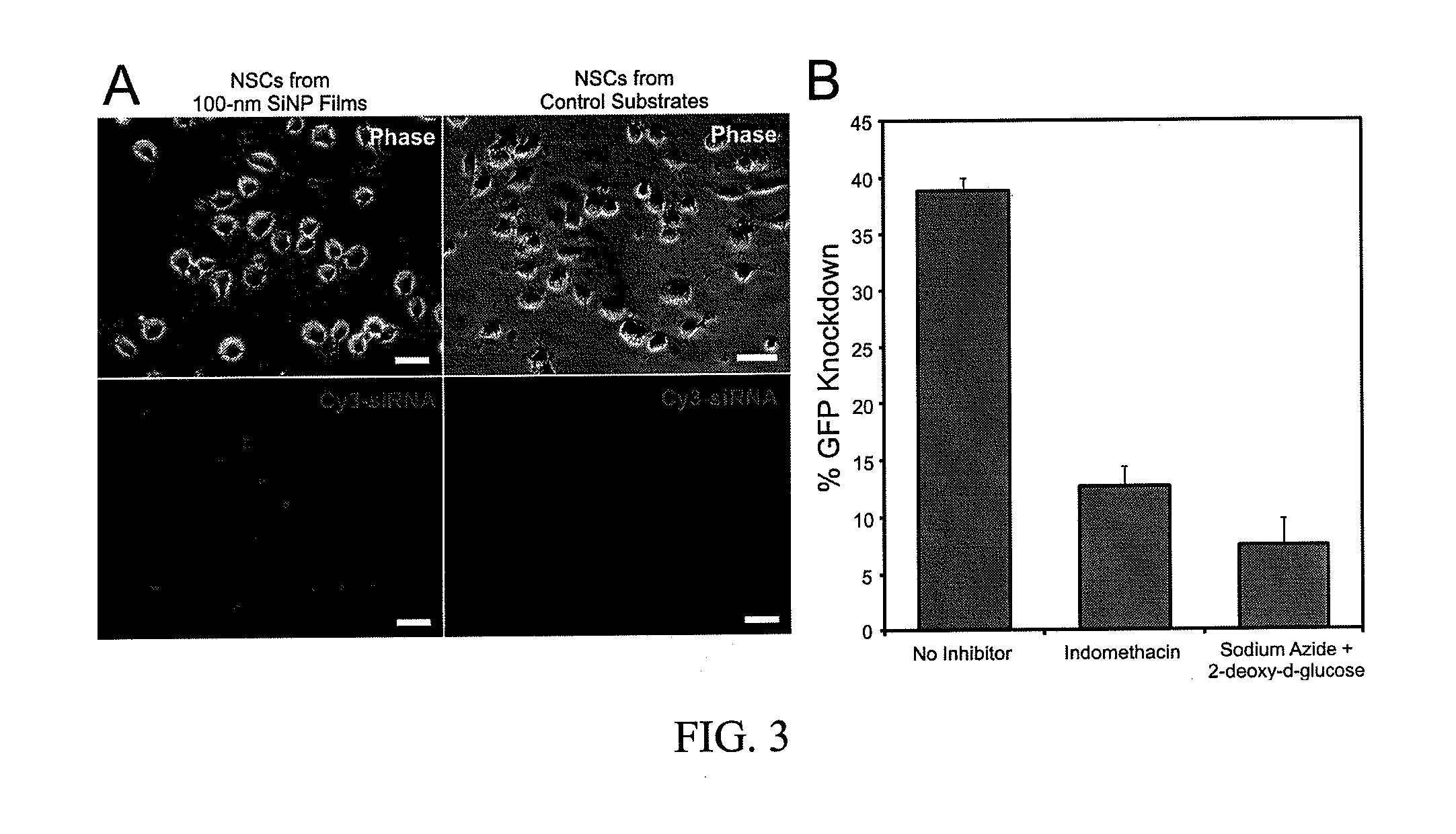 Nanotopography-mediated reverse uptake platform for nucleic acid delivery and applications thereof