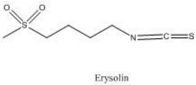 Synthesis method of 4-methanesulfonylbutyl isothiocyanate