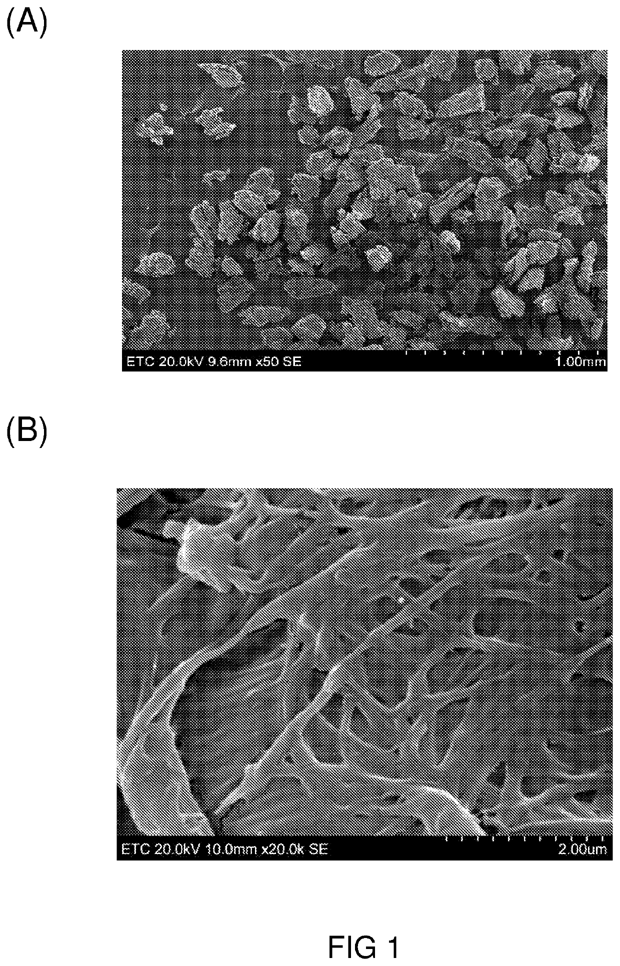 Preparation of high purity collagen particles and uses thereof