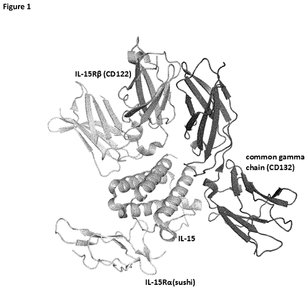 PD-1 TARGETED HETERODIMERIC FUSION PROTEINS CONTAINING IL-15/IL-15Ra Fc-FUSION PROTEINS AND PD-1 ANTIGEN BINDING DOMAINS AND USES THEREOF