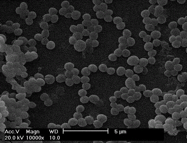 Achromobacter sp. MT-H used for degrading di-2-ethylhexylphthalate