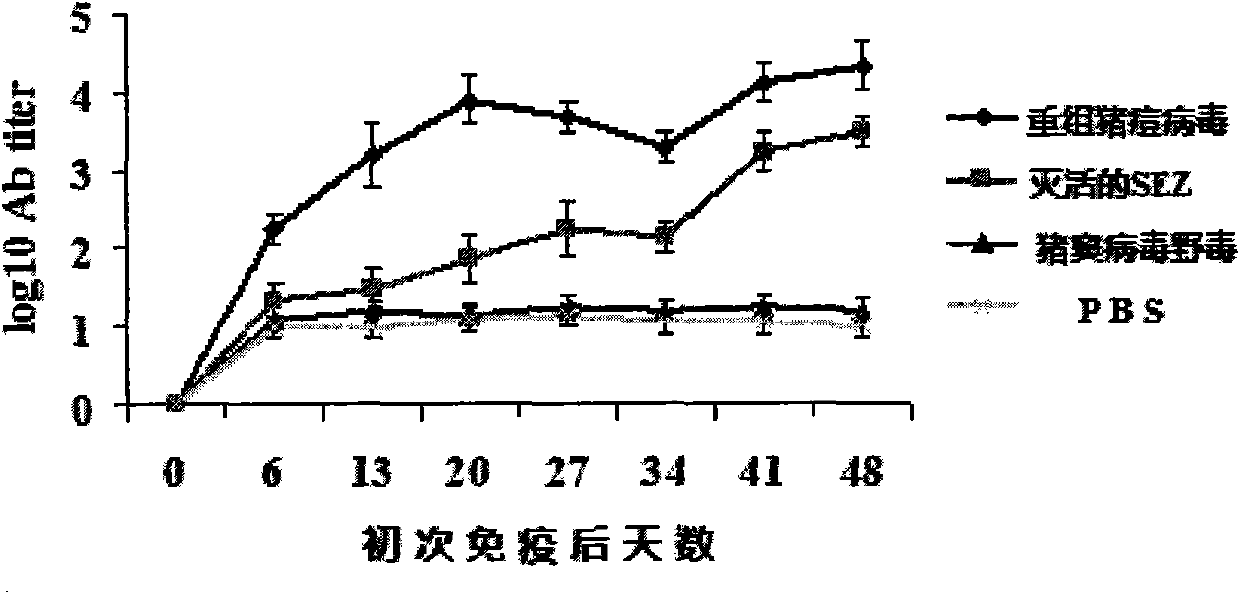 Recombinant Swine pox virus (SPV) vector vaccine for the expression of Streptococcus equi subsp zooepidemicus (SEZ) M-like protein (SzP)