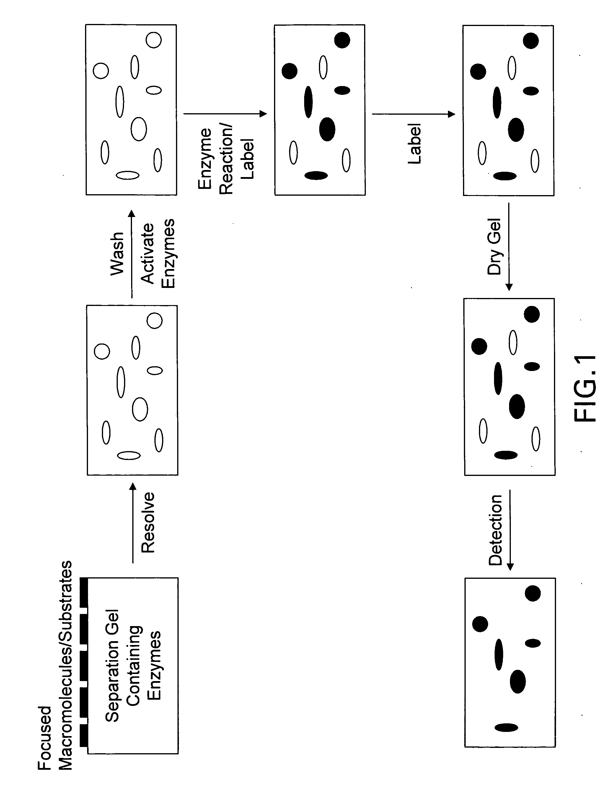 Devices and methods for profiling enzyme substrates