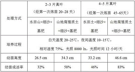 Artificial breeding method for rhododendron huadingense seedlings