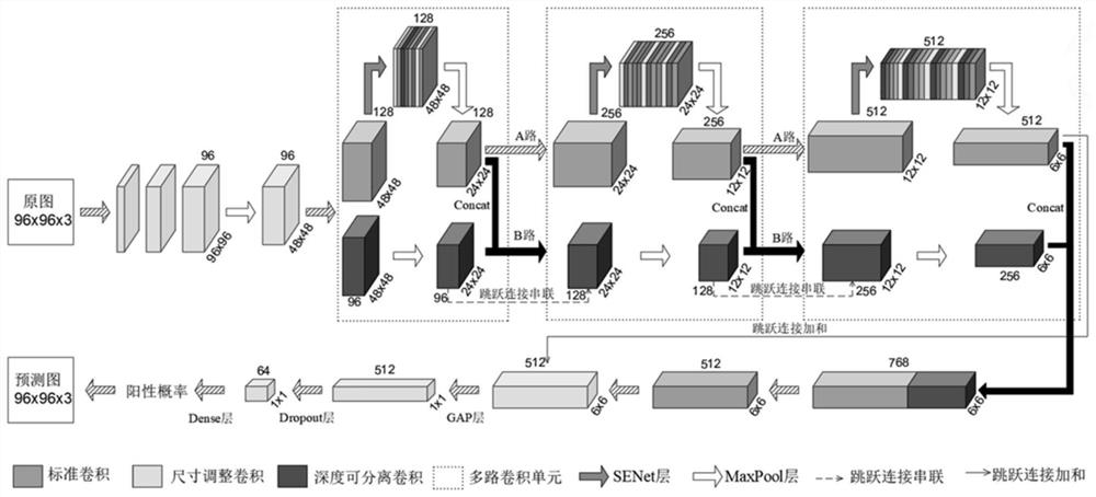 SENet-based gastric cancer pathological section image segmentation prediction method