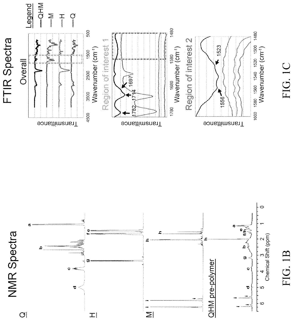 Bone-tendon graft biomaterial, use as a medical device and method of making same