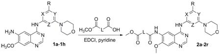 4-aminoquinazoline compound containing morpholinyl aromatic heterocycle and hydroximic acid structure and preparation method thereof