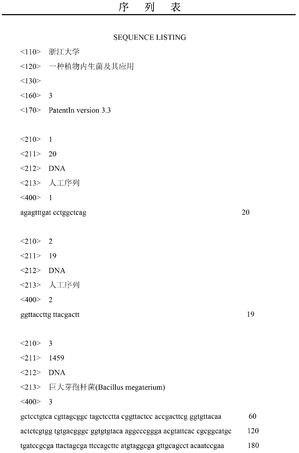 Endophyte and application thereof