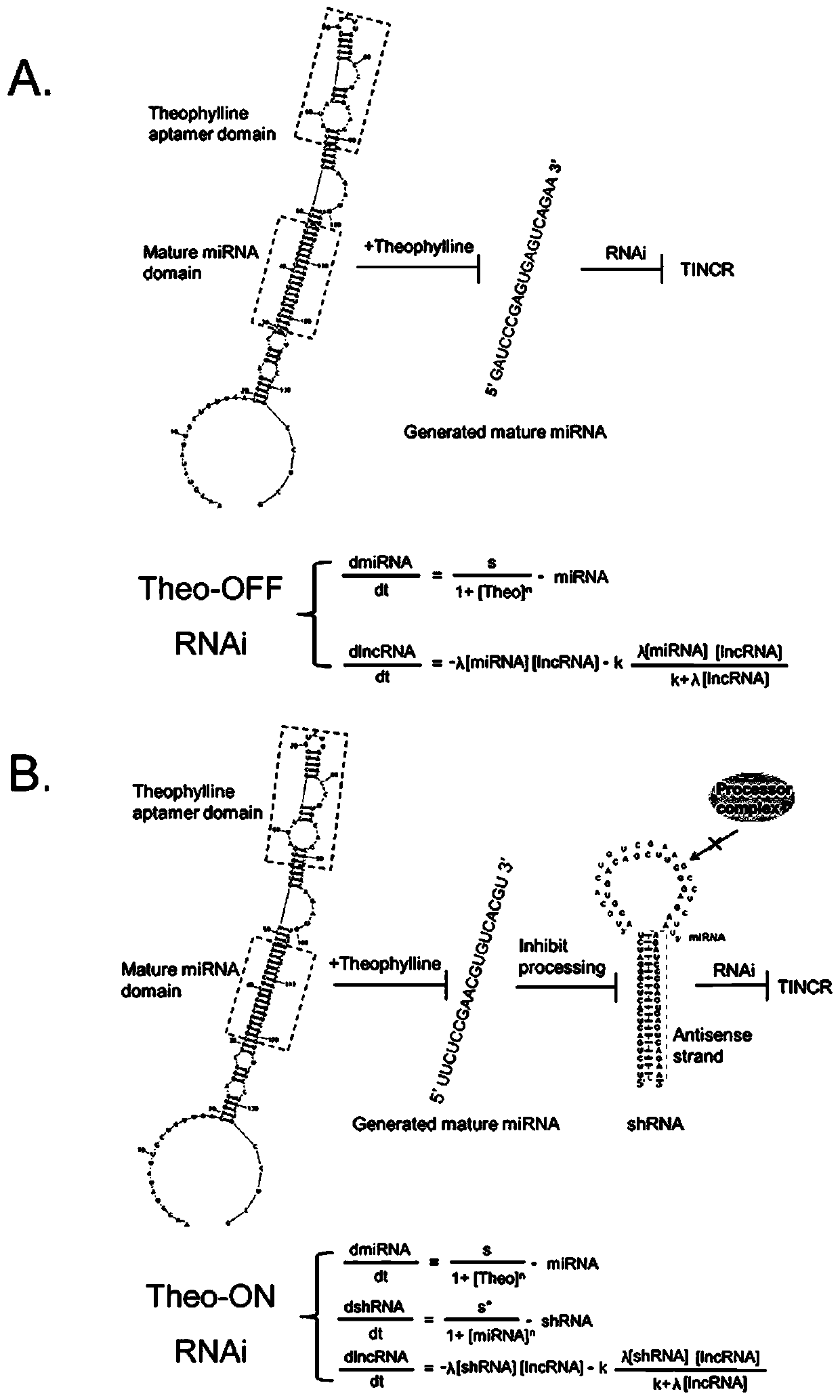 A kind of theophylline-induced RNA interference switch system and its gene regulation method and application