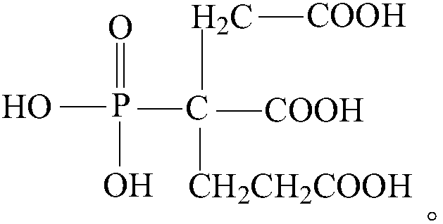 Scale inhibitor and application thereof