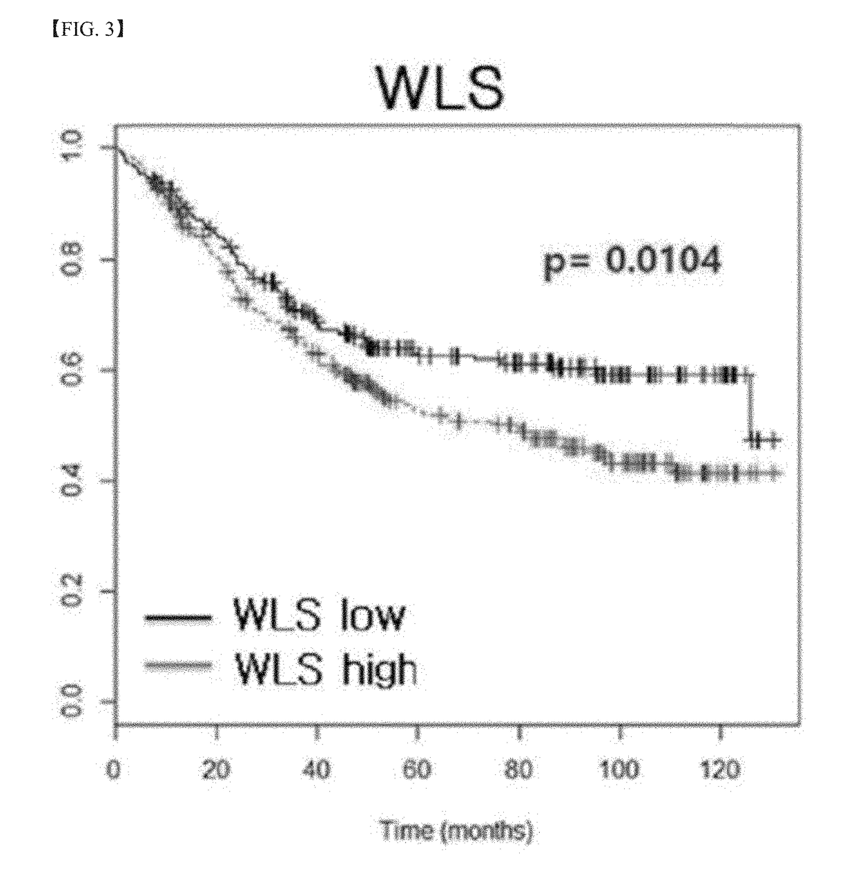 Antibody for Recognizing Specific Motif of WLS Protein, and Pharmaceutical Composition Comprising Same