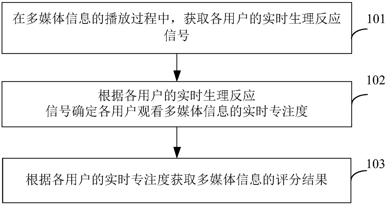 Multimedia information evaluation method and system