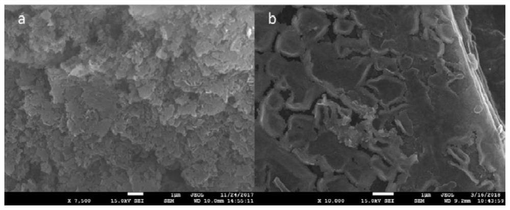 Catalyst for synthesizing benzaldehyde by catalytic oxidation of toluene and preparation method thereof