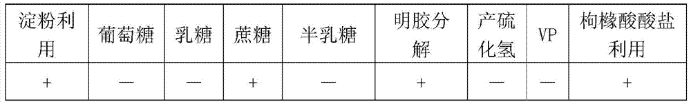 A kind of lysine high-yield bacterial strain and application