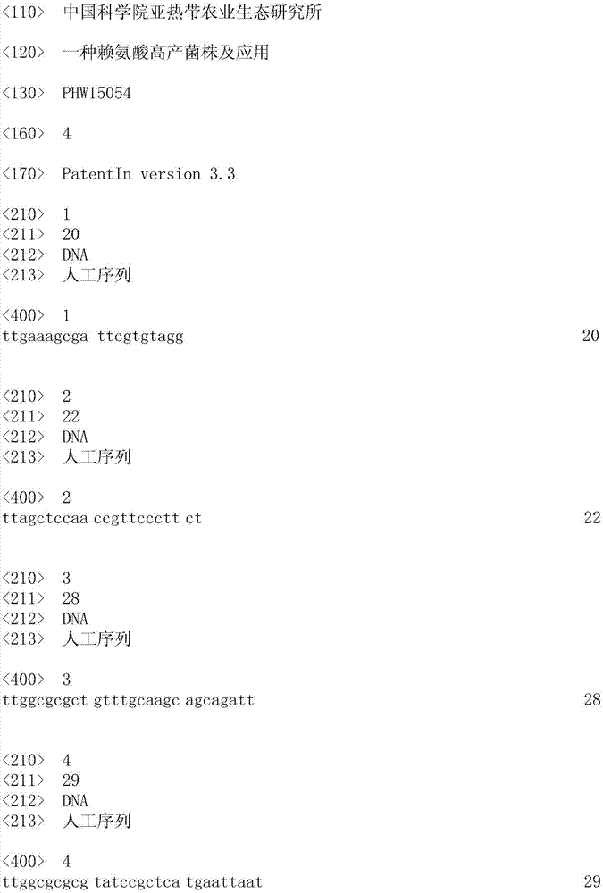 A kind of lysine high-yield bacterial strain and application