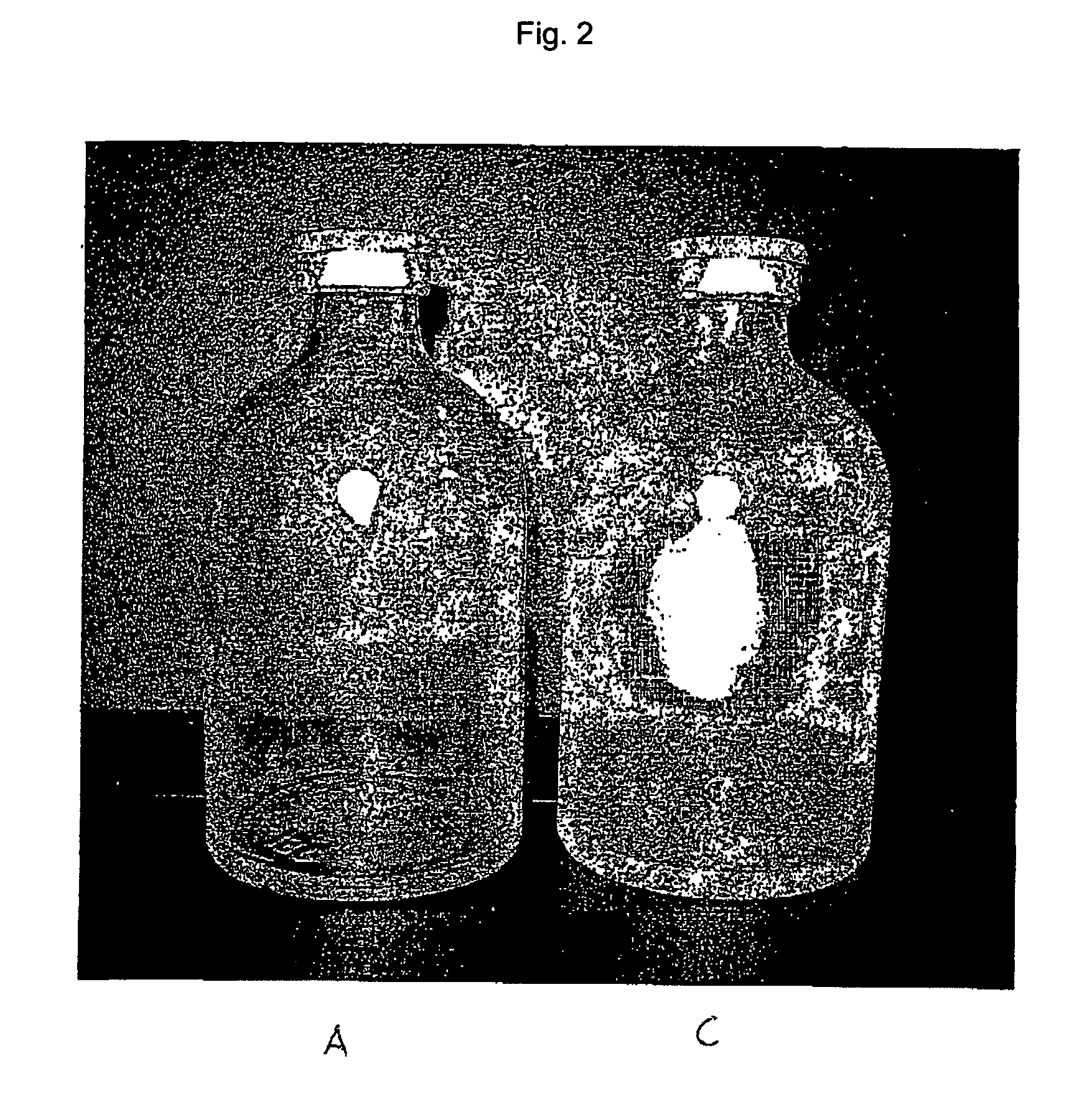 Safety containers for biologically active substances and method for producing said container