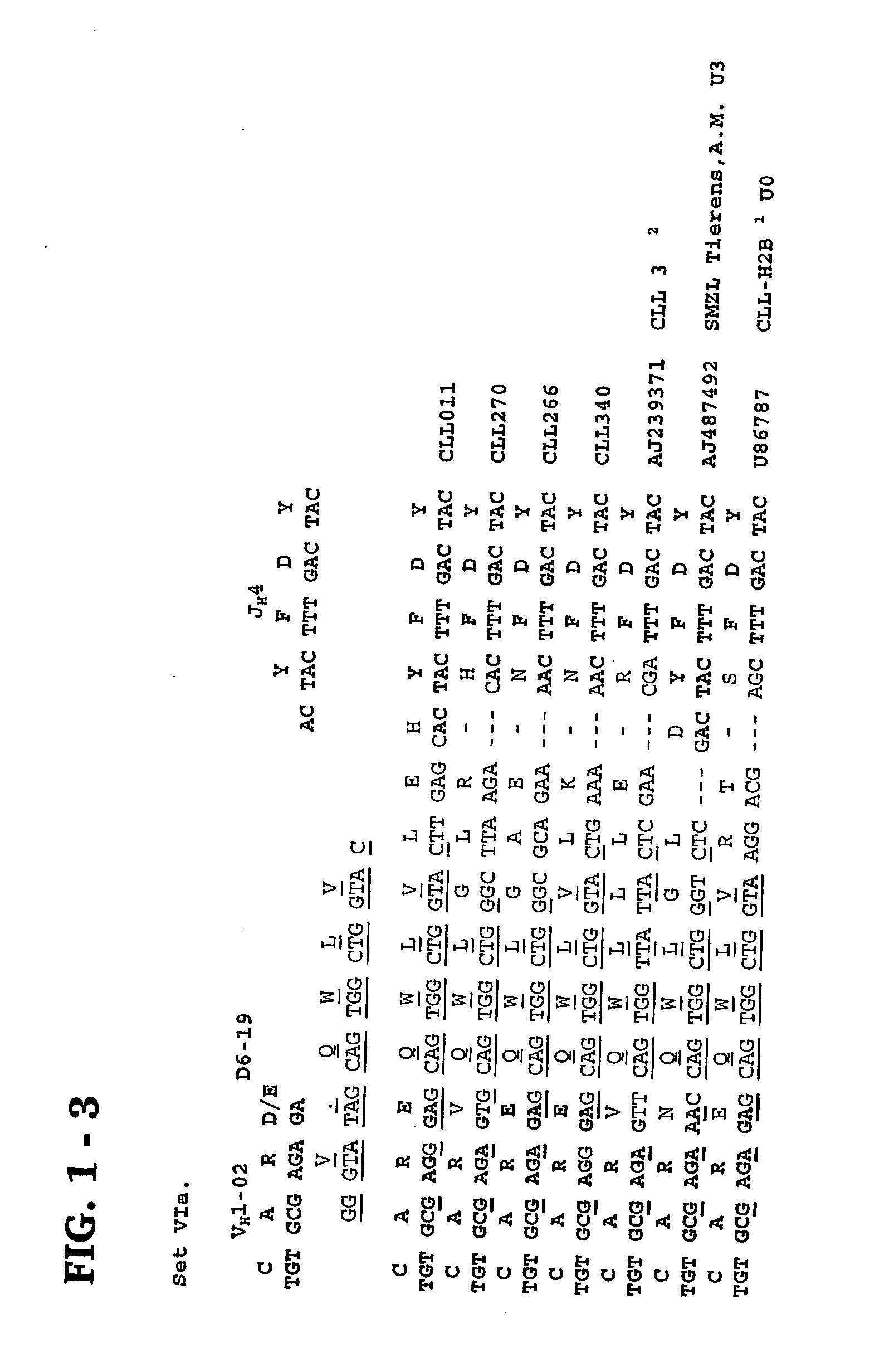 Methods and compositions for diagnosis and treatment of b cell chronic lymphocytic leukemia