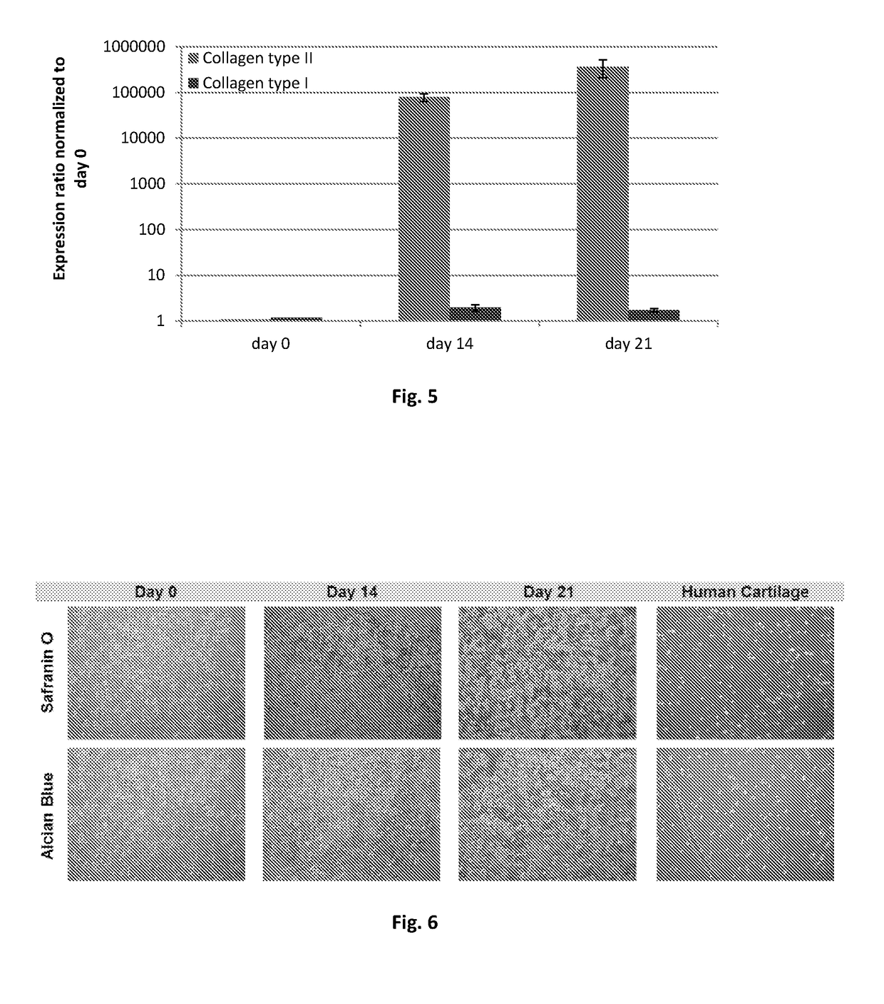 Products for repairing cartilage lesions, method of preparation and uses thereof