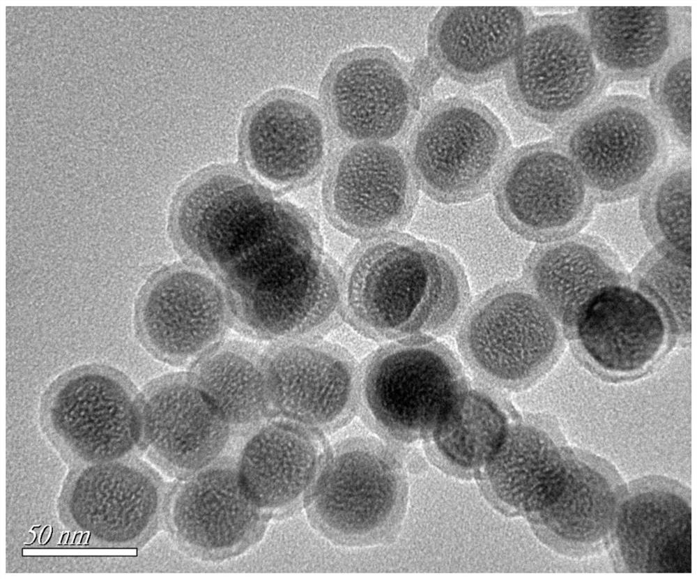 A dual-signal detection method for Staphylococcus aureus in food