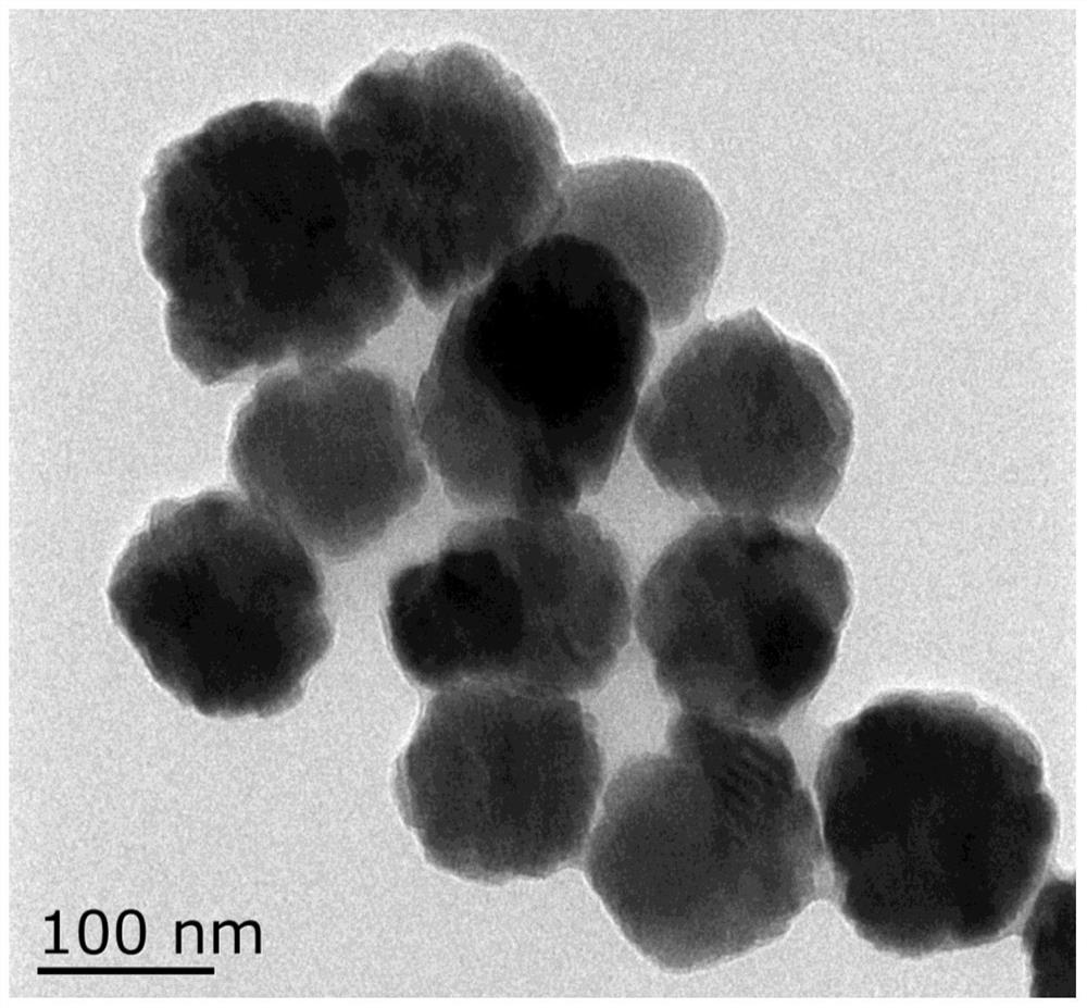 A dual-signal detection method for Staphylococcus aureus in food