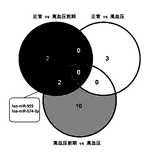 Application of microRNA (ribonucleic acid) has-miR939 in hypertension diagnosis
