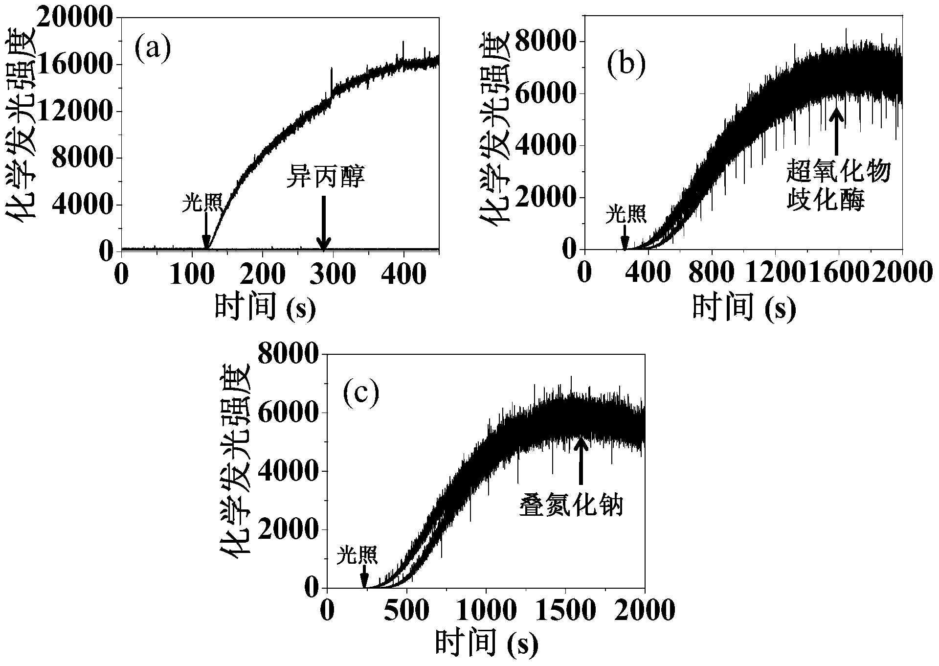 Real-time dynamic detection system for hydroxyl radicals generated by photo-catalytic reaction