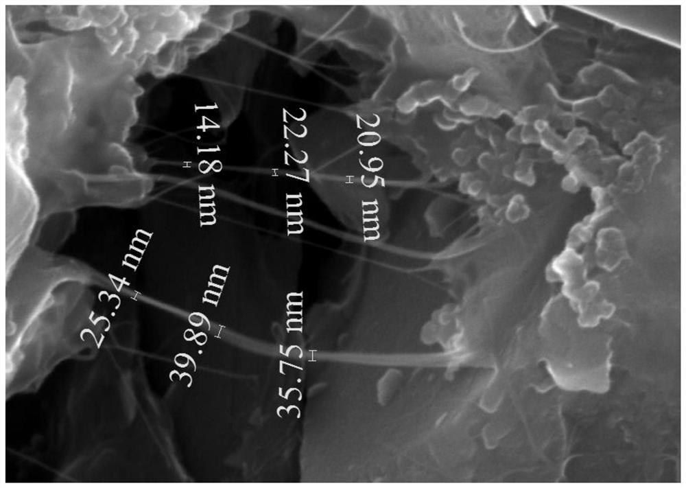 Silicon anode for lithium ion battery and preparation method thereof