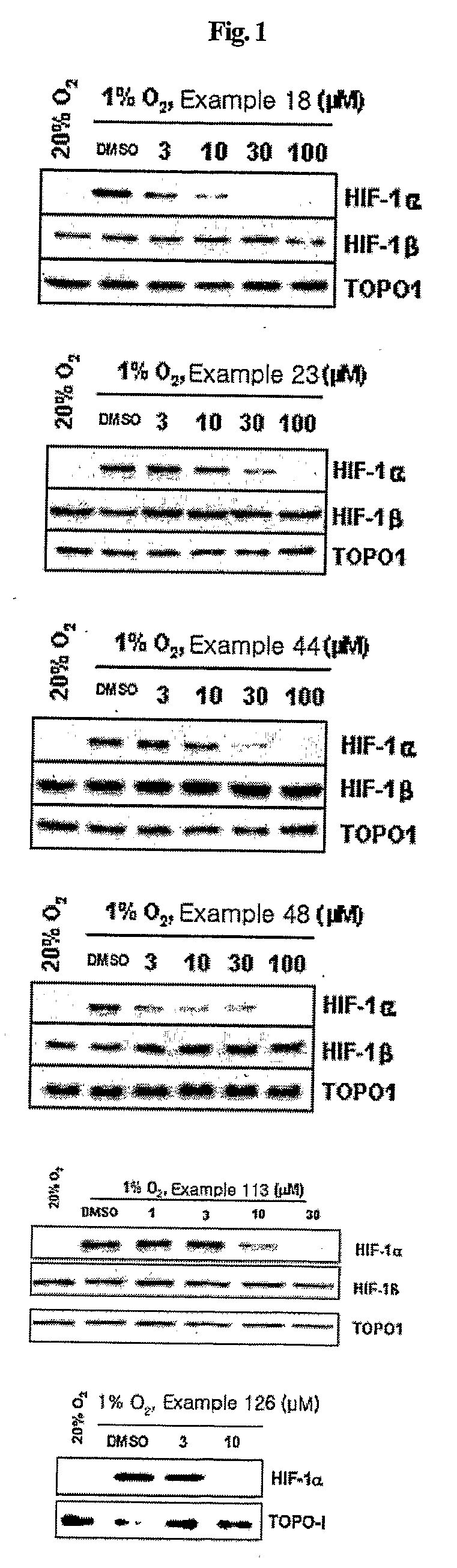 Compounds that inhibit hif-1 activity, the method for preparation thereof and the pharmaceutical composition containing them as an effective component