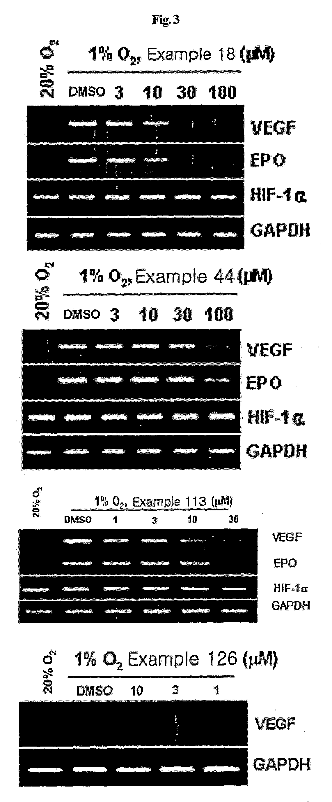 Compounds that inhibit hif-1 activity, the method for preparation thereof and the pharmaceutical composition containing them as an effective component